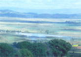 kalaw-03