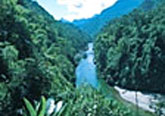 putao-03