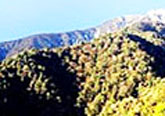 putao-04