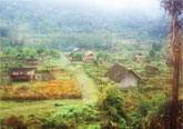 putao-06